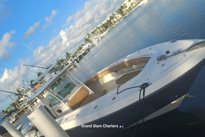 Afternoon Bottom Fishing on Reel Bouys — Providenciales Half-Day Charter photo 4