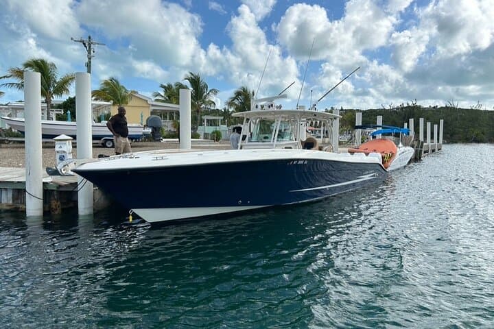 Afternoon Bottom Fishing on Reel Bouys — Providenciales Half-Day Charter photo 3