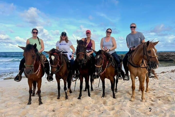 Aruba Ecological Trail & Beach Horseback Ride — Shore Excursion from the Cruise Port photo 2