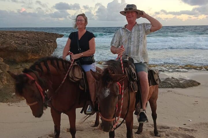 Aruba Ecological Trail & Beach Horseback Ride — Shore Excursion from the Cruise Port photo 5