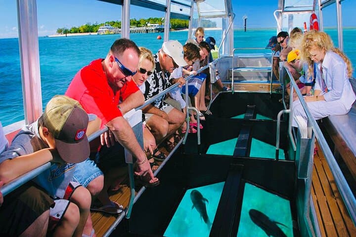 Punta Cana Glass-Bottom Boat & Snorkel Tour with Open Bar photo 3