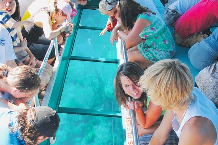 Punta Cana Glass-Bottom Boat & Snorkel Tour with Open Bar photo 4