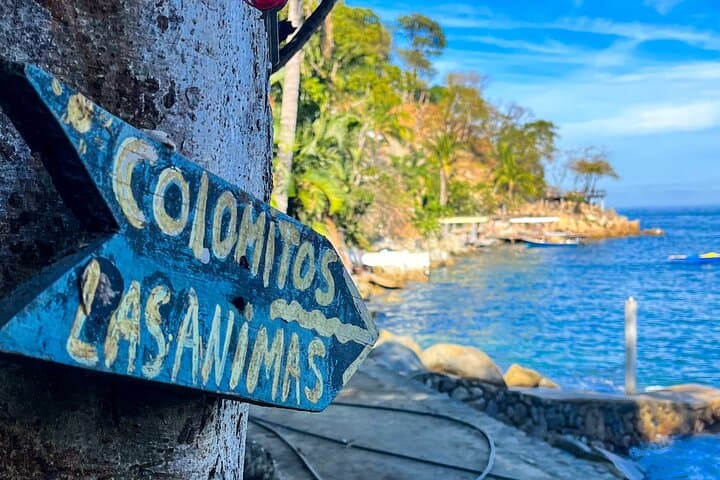 Puerto Vallarta Coastal Hike to Colomitos, Madagascar & Playa Las Ánimas photo 3
