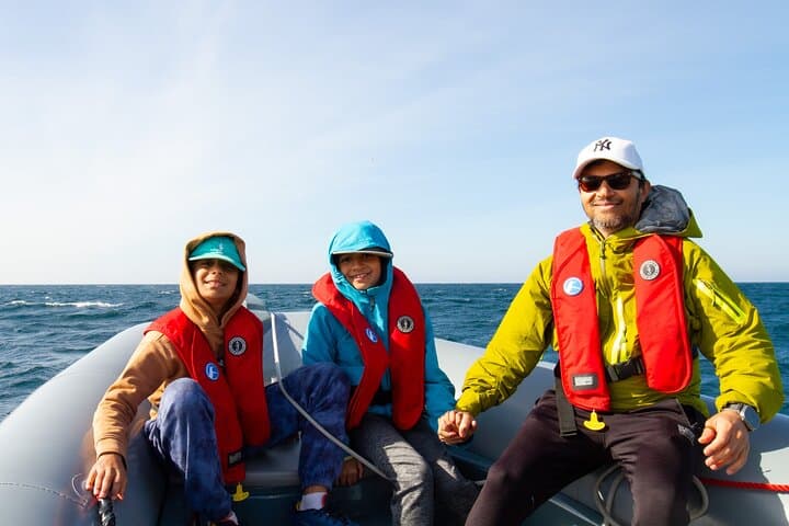 Private Whale Watching in San Diego on a Premium Zodiac from Seaforth Marina photo 2