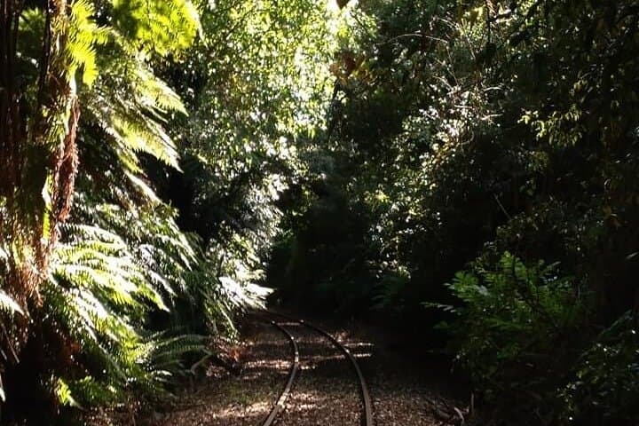 Self-Drive Railcar Ride from Rotorua to Mamaku — Ngongotahā Return photo 6