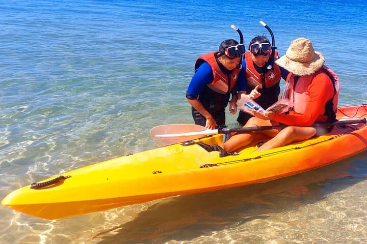 Gold Coast Kayaking and Snorkelling Tour to Wave Break Island