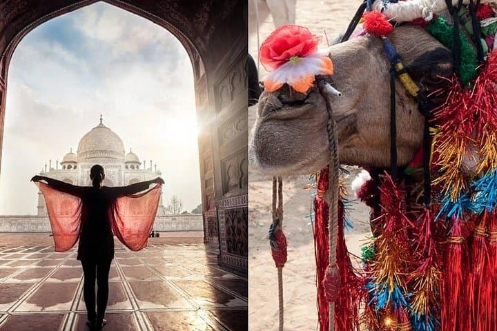 8-Day Golden Triangle India Tour: Delhi, Agra, Jaipur, Ajmer & Pushkar photo 2
