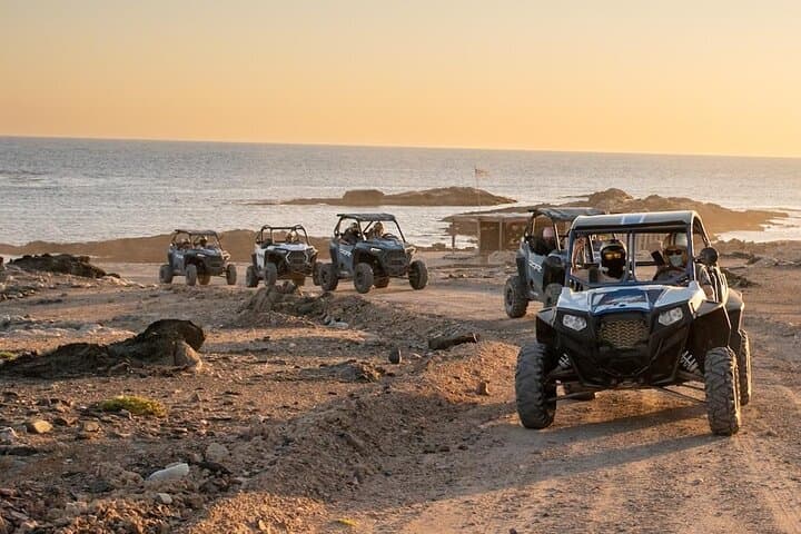 Oman Discovery by Buggy: Salalah Dunes, Coral Sanctuaries & Flamingo Lagoon