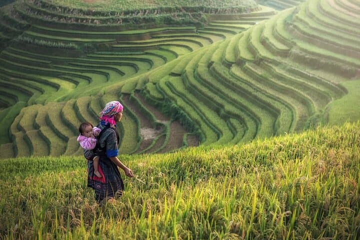 Sapa Muong Hoa Valley: 2-Day Hill-Tribe Trek & Rice Terraces photo 5