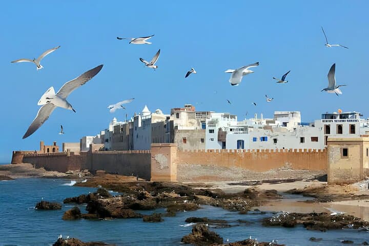 Essaouira Day Trip from Marrakech — Coastal Medina, Argan Co-ops & Ramparts photo 2