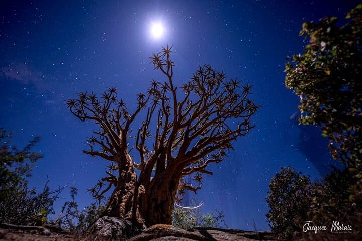 Chasing African Light: Northern Cape Photography Tour from Cape Town photo 4