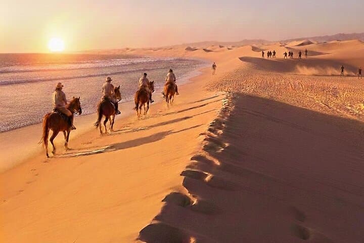 Agadir Beach Horseback Riding and Sandboarding Adventure photo 2