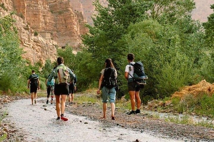 Ourika Valley Day Trip from Marrakech: Berber Villages, Argan Co-ops & Waterfalls photo 4