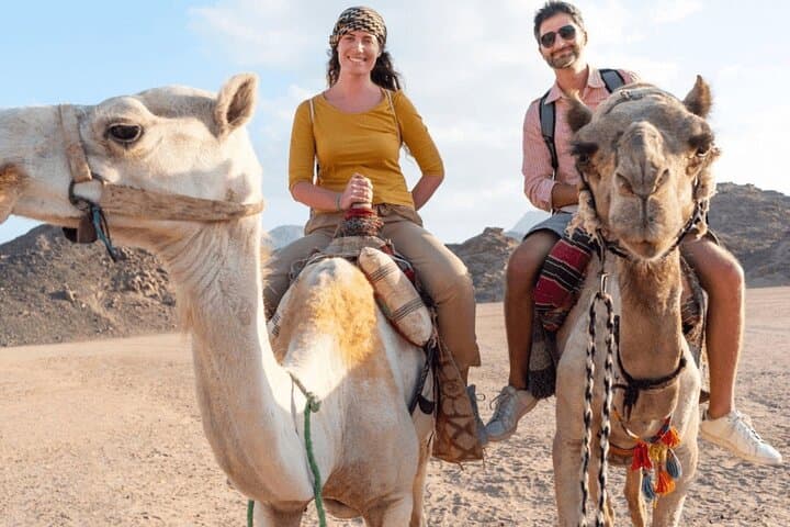 Marsa Alam Desert Quad & Camel Ride — Bedouin Village Evening Adventure photo 2