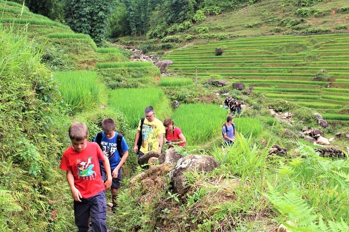 Sapa, Bac Ha & Hoang Su Phi: 5-Day Highlands Trek and Cultural Homestays photo 6