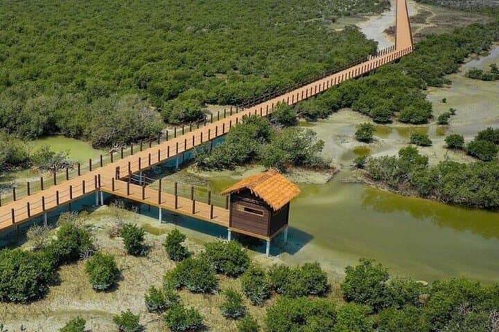Northern Qatar 4WD Adventure: Al Khor to Al Zubarah Cultural & Mangrove Coastal Tour photo 5