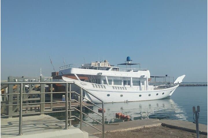 Northern Qatar 4WD Adventure: Al Khor to Al Zubarah Cultural & Mangrove Coastal Tour photo 6