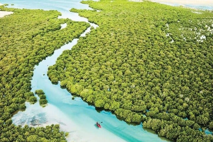 Northern Qatar 4WD Adventure: Al Khor to Al Zubarah Cultural & Mangrove Coastal Tour