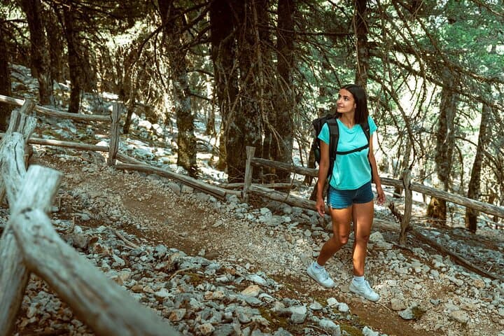 Kefalonia 4x4 Adventure: Mount Ainos Black Pine Forest & Village Lunch