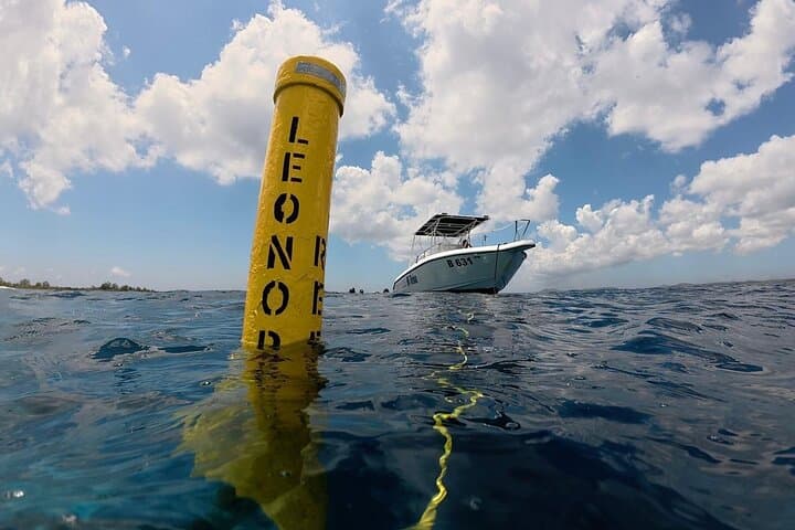 Small-Group Snorkeling Tour Bonaire — Best Spots in the Marine Park photo 5