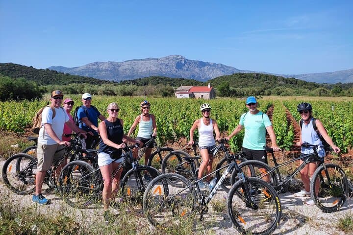 Korcula Bike & Wine Tour: Cycling to Lumbarda's Grk & Posip Vineyards