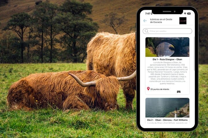 Self-Guided Scotland Road Trip: Whisky, Castles & Coastal Routes Audio Guide