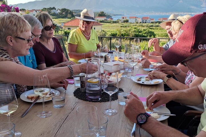 Sip Grk in Lumbarda: Korčula Wine Tasting & Vineyard Walk photo 4