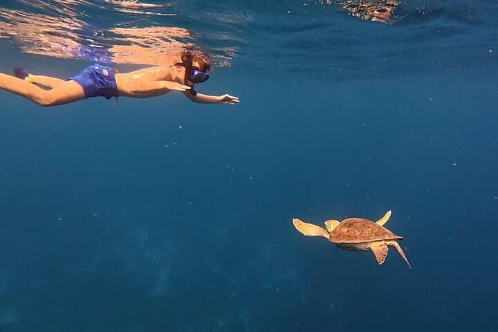 Private Sunset Cruise in Bonaire: Snorkel, Drinks & Coastal Views photo 6