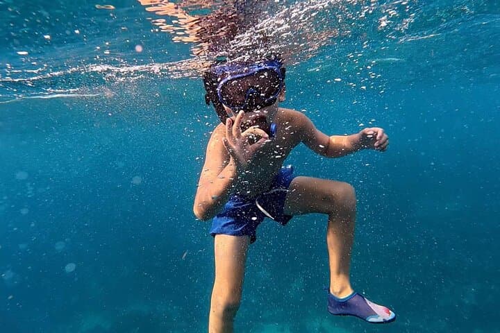 Small-Group Snorkeling Tour Bonaire — Best Spots in the Marine Park photo 3