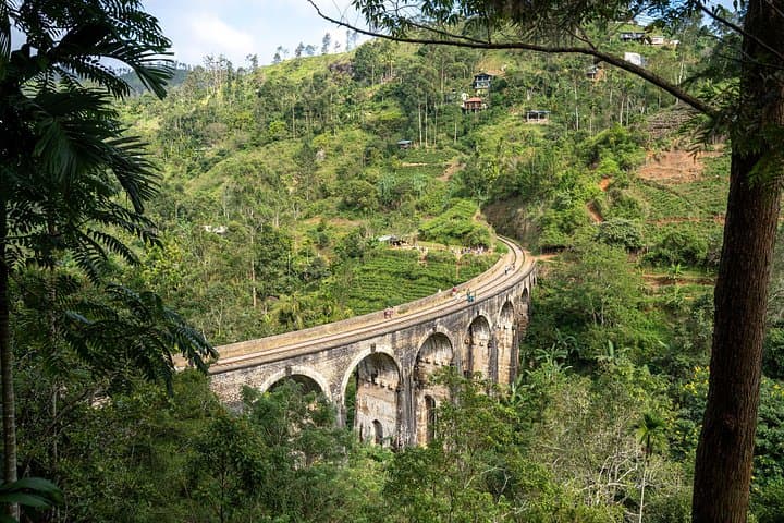 8-Day Sri Lanka Cultural & Wildlife Adventure — Sigiriya, Kandy, Yala & Mirissa photo 3