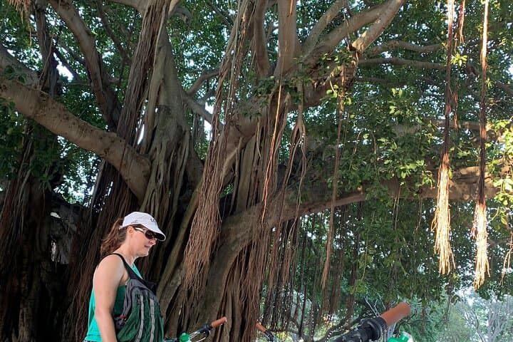 St. Pete Ebike Tour with Lunch — Downtown Highlights & Local Bites photo 3