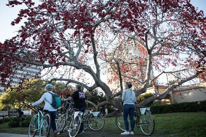 St. Pete Ebike Tour with Lunch — Downtown Highlights & Local Bites photo 4