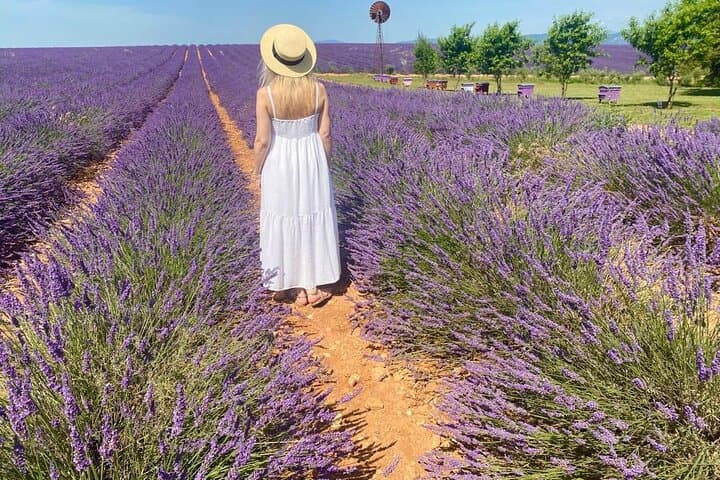Provence Lavender Fields Tour from Aix-en-Provence — Valensole & Sault Day Trip photo 2
