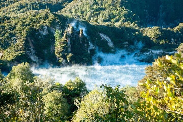 Auckland to Waitomo & Rotorua: Private Glowworm and Geothermal Day Tour photo 6