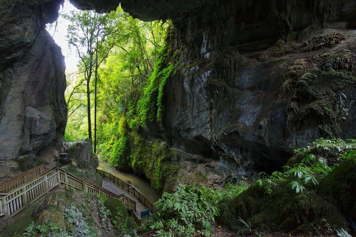 Auckland to Waitomo & Rotorua: Private Glowworm and Geothermal Day Tour photo 4