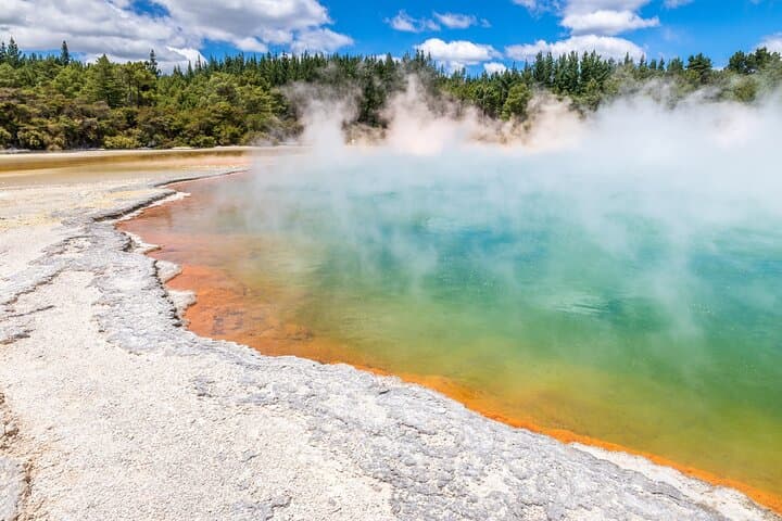 Auckland to Waitomo & Rotorua: Private Glowworm and Geothermal Day Tour