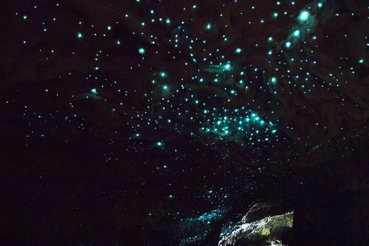 Auckland to Waitomo & Rotorua: Private Glowworm and Geothermal Day Tour photo 2