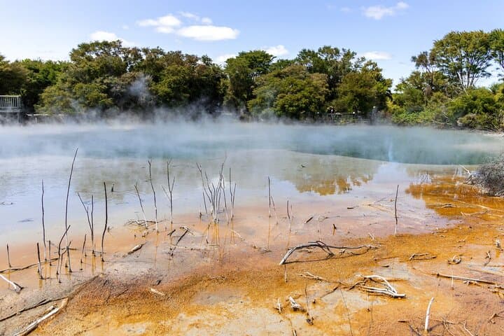 Auckland to Waitomo & Rotorua: Private Glowworm and Geothermal Day Tour photo 3