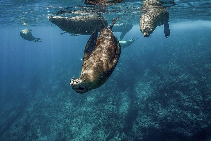 Isla Espiritu Santo Day Adventure: Kayak, Snorkel & Beach in the Sea of Cortez