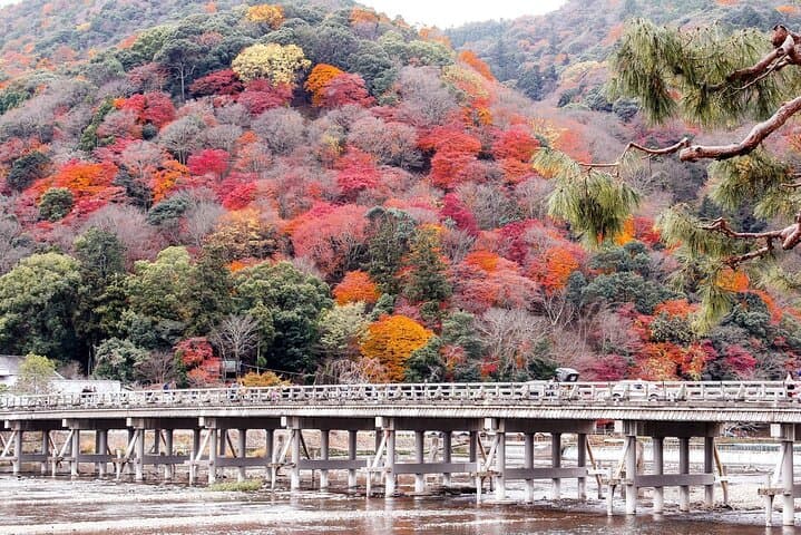 Sagano Romantic Train & Kiyomizudera Day Tour from Osaka: Scenic Rail, River & Temple Highlights photo 3