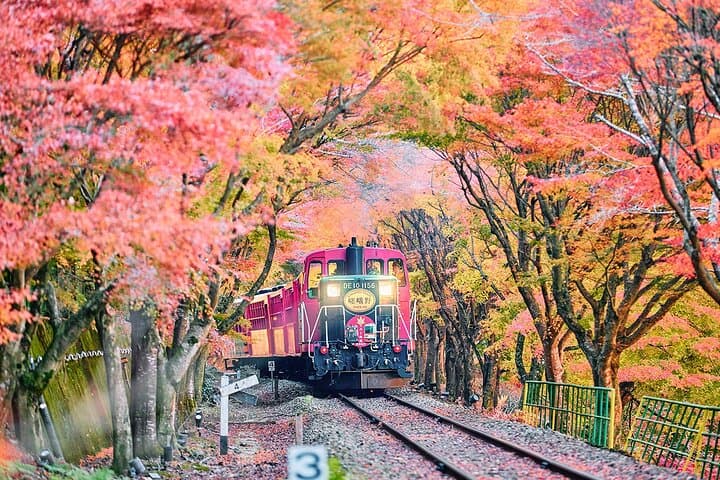 Sagano Romantic Train & Kiyomizudera Day Tour from Osaka: Scenic Rail, River & Temple Highlights photo 4