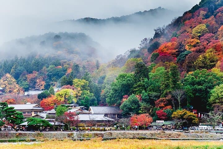 Sagano Romantic Train & Kiyomizudera Day Tour from Osaka: Scenic Rail, River & Temple Highlights photo 5
