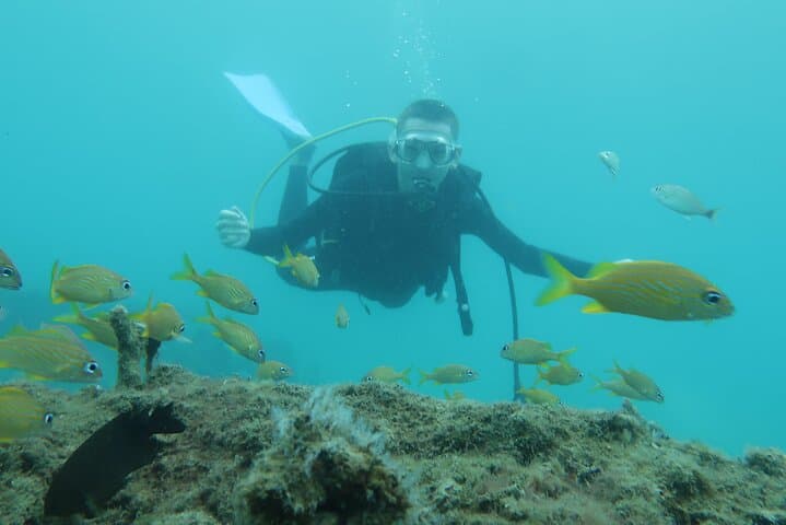 Private Scuba Lessons and Professional Underwater Photos in West Palm Beach photo 2