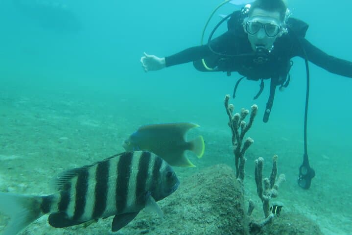 Private Scuba Lessons and Professional Underwater Photos in West Palm Beach photo 3