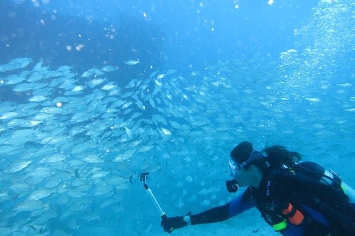 Private Scuba Lessons and Professional Underwater Photos in West Palm Beach photo 6