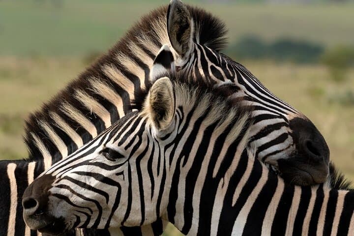 3-Day Kruger Safari & Panorama Route: Big Five Game Drives and Blyde River Views photo 3