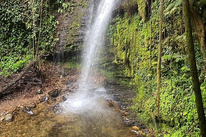 Pance Trail Waterfall Hike: Swim, Wildlife & Views Near Cali photo 3