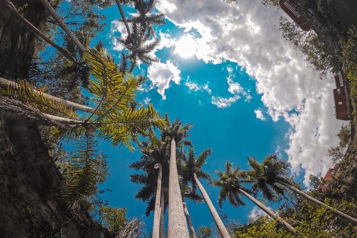 Private Chichen Itza Tour with Cenote Swim and Valladolid Visit photo 4