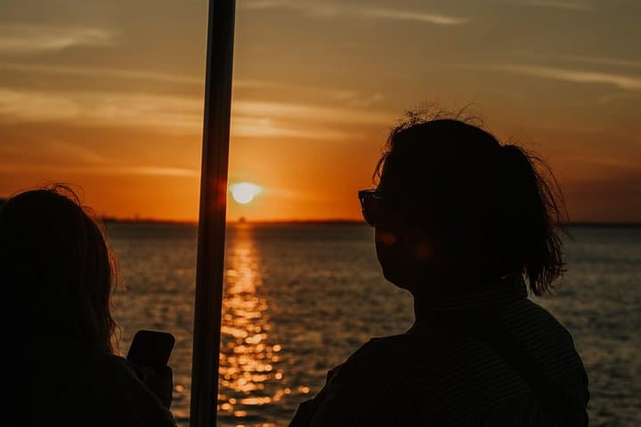 Destin Dolphin & Sunset Cruise: 1.5-Hour Gulf Wildlife Cruise photo 3