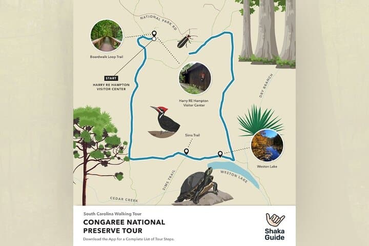 Explore Congaree: Self-Guided Audio Walking Tour Through Old-Growth Floodplain Forest photo 3